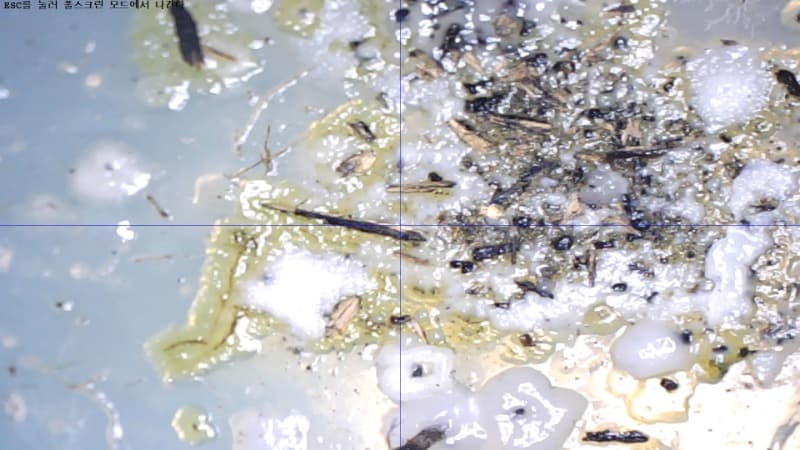 김도플_요매정괴 · 한천가루, 세균, 샬레 · 가변크기 · 2019 · Kim Do-Ple_YoMaeJungGoi · agar powder, bacteria, and chalet