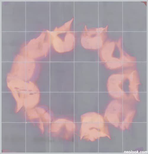 아만다 마찬드_The Lumen Project: Lumen Circle Ⅲ · 아카이벌 피그먼트 프린트 · 230×222cm · 2019 · Amanda Marchand_The Lumen Project: Lumen Circle Ⅲ · Archival Pigment Print