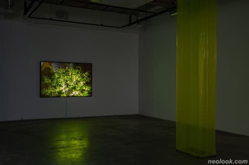 스톤김_침묵의 색깔들 #8609 · 라이트박스 · 100×150cm · 2019 · Stone Kim_Colors of silence #8609 · Light Box