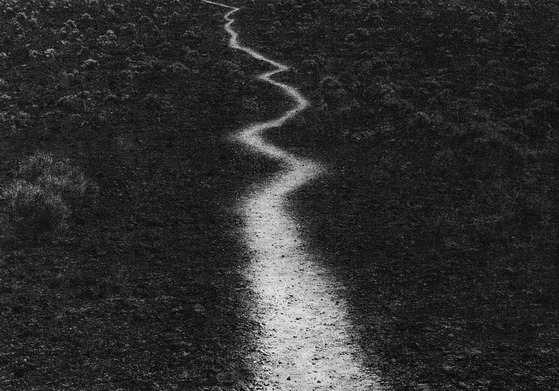 Voice 28 · Archival Pigment Print (Inkjet print) · 152.5 x 213.3 cm (paper size) · 2019 (Ed. 1/3 + 2AP · Voice 28 · Archival Pigment Print (Inkjet print)
