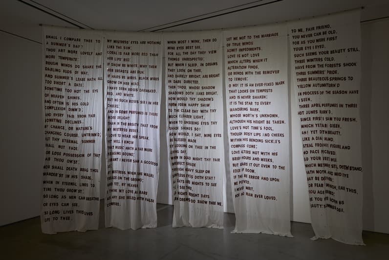 Red Drawing · 거즈, 천, 소 피, 크리스탈 · 357cmx105cm · 2015 · Red Drawing · Gauze, fabric, cow blood, crystal.