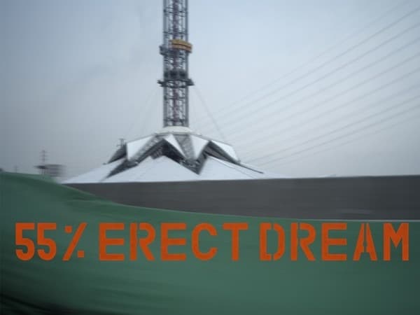 55%_Job_1002790_fin · 55%_Job_1002790_fin