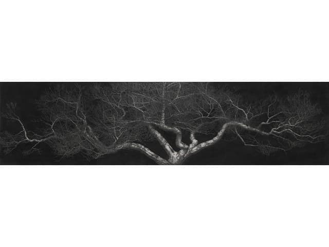 달빛 MOONSCAPE · 캔버스에 목탄 · 227×910cm · 2016 · MOONSCAPE · Charcoal on Canvas