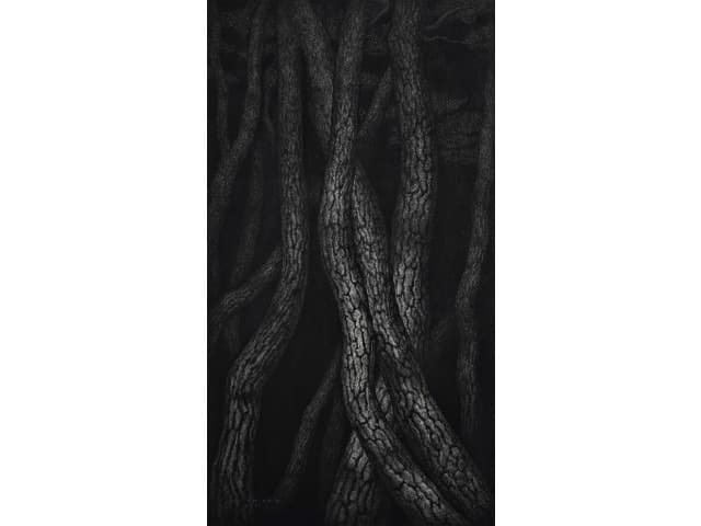 달빛 MOONSCAPE · 캔버스에 목탄 · 162x90cm · 2011 · MOONSCAPE · Charcoal on Canvas