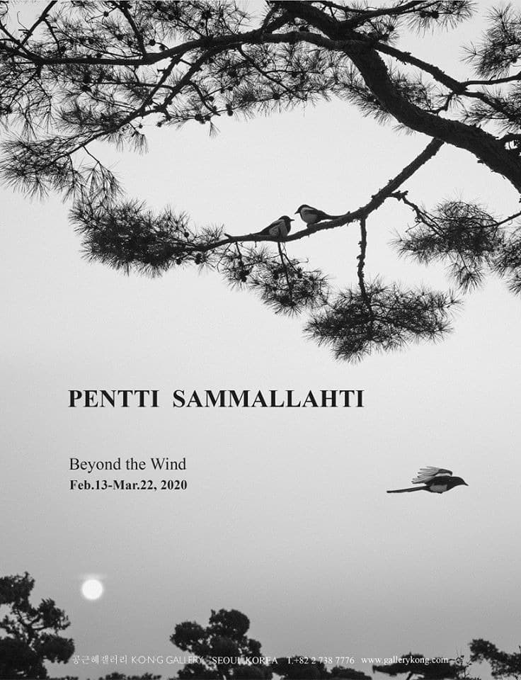 Pentti Sammallahti - Beyond the Wind 포스터