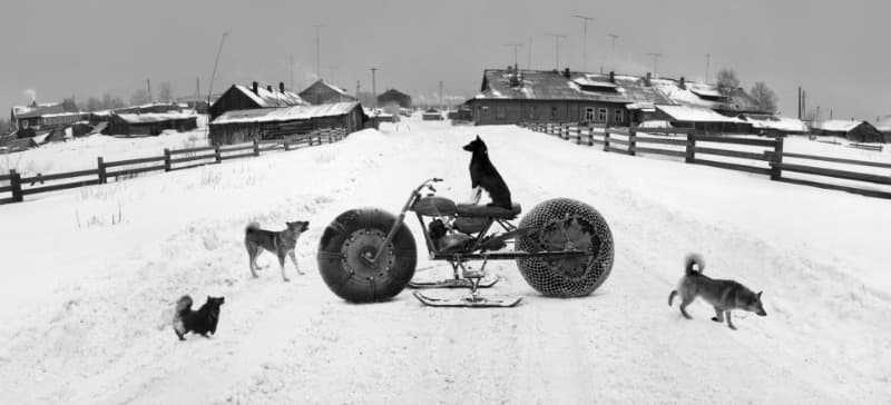Solovki, White Sea, Russia (Dog with bag) · 1992 © Pentti Sammallahti 사진제공 공근혜갤러리 · Solovki, White Sea, Russia (Dog with bag)