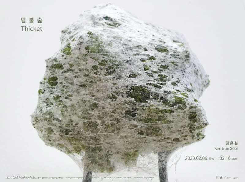 덤불숲 Thicket 포스터