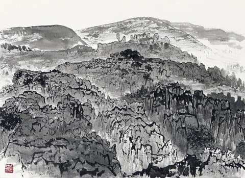 백범영, 내고석림乃古石林 · 켄트지에 수묵 · 21x29cm · 2020 · Baek Bum young, 乃古石林 · Kent paper