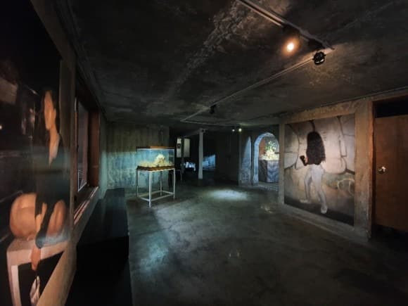전시전경 · Installation View