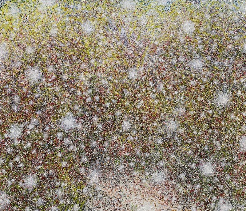 허수영, 숲 · 캔버스에 유채 · 45.5x53cm · 2018 · Heo Soo-young · Oil on canvas