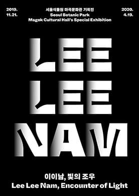 이이남, 빛의 조우