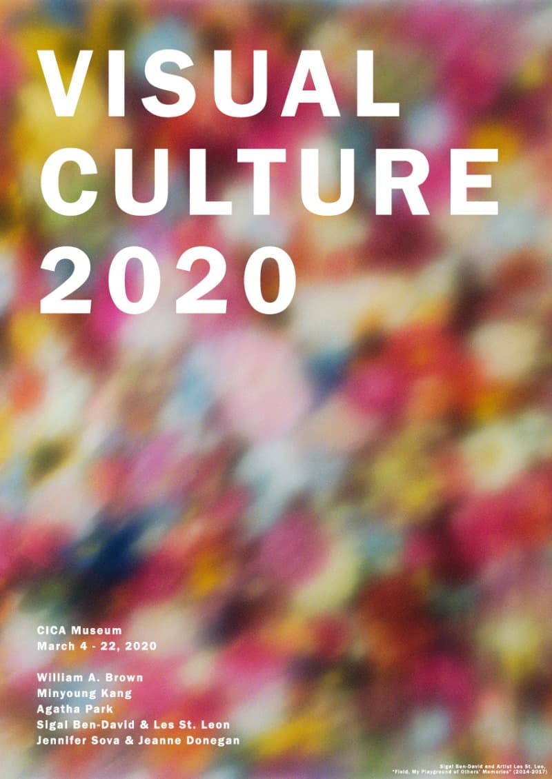 Visual Culture 2020 포스터