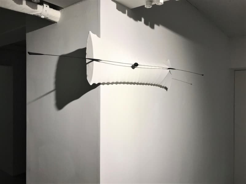 -↑g=↓9.8(㎨) · cloth, magnet, wire and wood on transformational canvas · 25x130x12cm_2006 · 2006 · -↑g=↓9.8(㎨) · cloth, magnet, wire and wood on transformational canvas