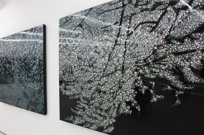 Installation View · [출처] 아트딜라이트