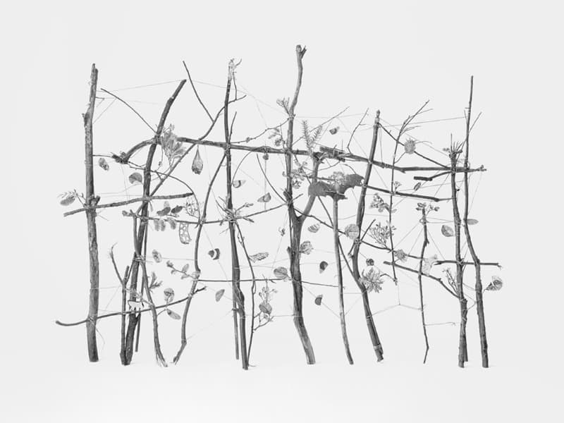 섬광기억 #콩나물 1 · 피그먼트 프린트 · 105x140cm · 2019 · Pigment Print