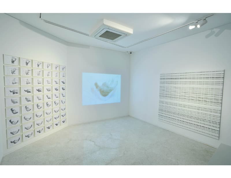 <SHOT TO SEQUENCE> 전시전경 · <SHOT TO SEQUENCE> Installation view