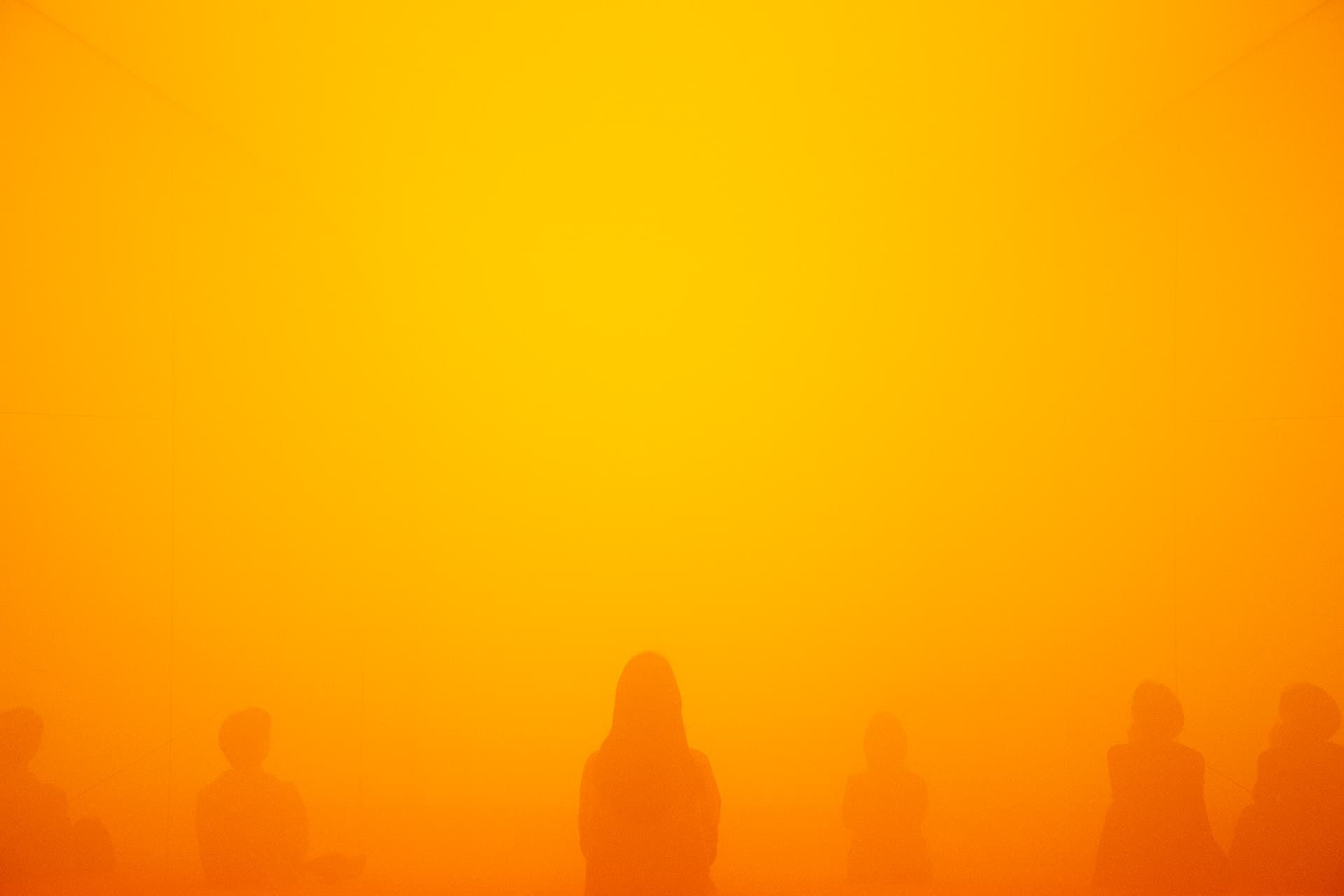 전시전경