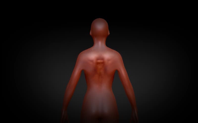<디지털 나르코시스> · 전시 작품 중 일부