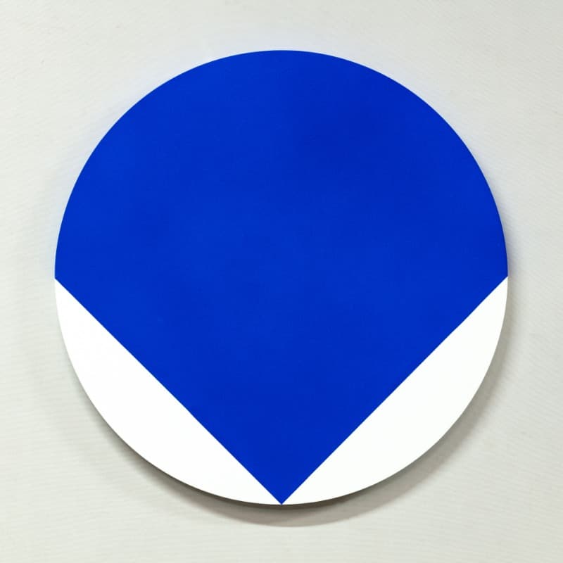B6 · Flashe vinyl paint on birch wood · 45.72 cm diameter (18 inch) · 2020 · B6 · Flashe vinyl paint on birch wood