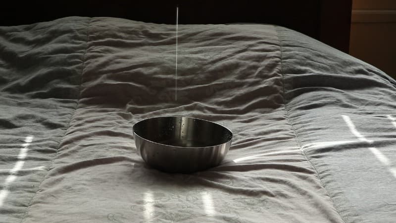 꼬리 · 포집한 물, 냉동고, 그릇, 몰드, 목재, 분재, 가변크기 · 3채널 영상(13분 반복재생) · 2020