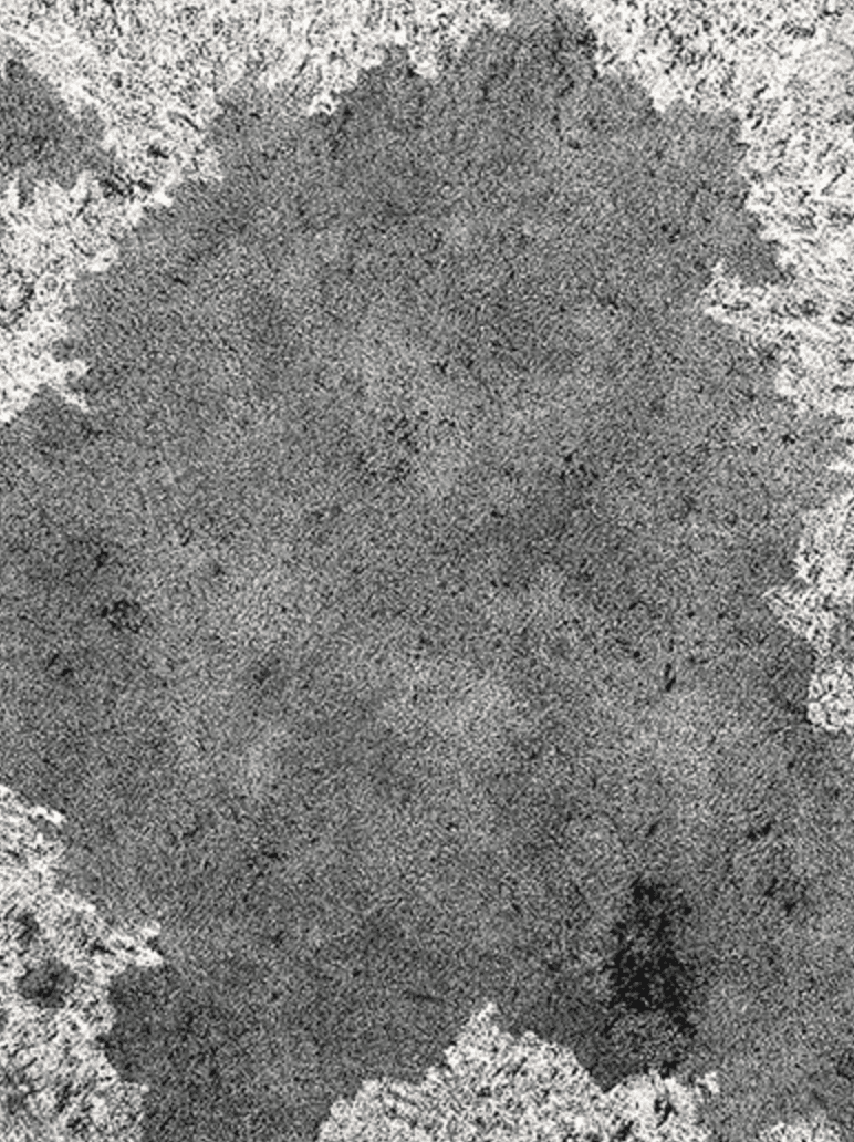 박자현 - 얼굴들 2 · 21.5x28cm · 21.5x28cm · 2005