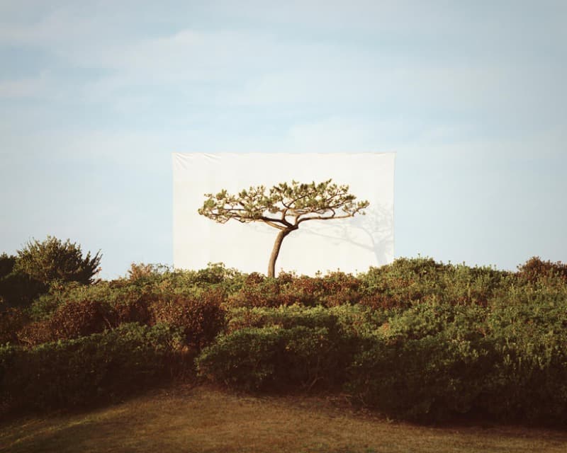 Myoung Ho Lee, Tree #18_2_1 · Ink on paper · 104 × 124 cm · 2020 [출처] 갤러리현대 홈페이지 · Myoung Ho Lee, Tree #18_2_1 · Ink on paper