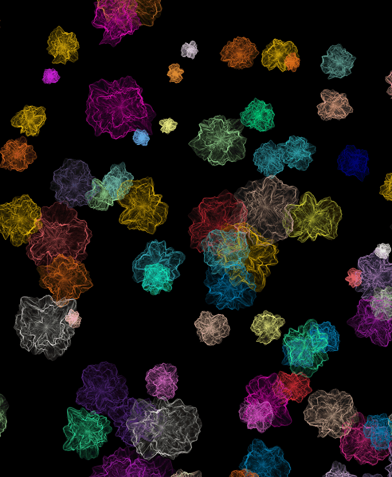 김하준_flower · mixed media · 가변설치 · 2020 · flower · mixed media
