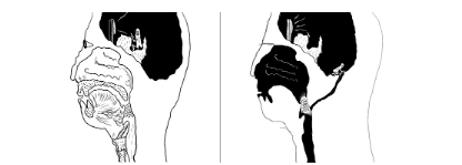 Hand Drawing Animation · Single Channel Video Projection, 2 Channel stereo · 2020, [출처] 플레이스막 홈페이지 · Hand Drawing Animation · Single Channel Video Projection, 2 Channel stereo