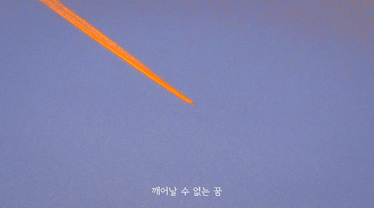 <야생 속으로> · 단채널 영상 · 00:12:00 · 2020  [출처]한국문화예술위원회 홈페이지 · 〈Into the wild〉 · Single Channel Video