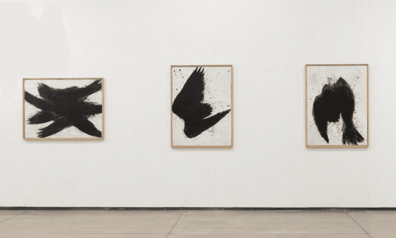 installation views