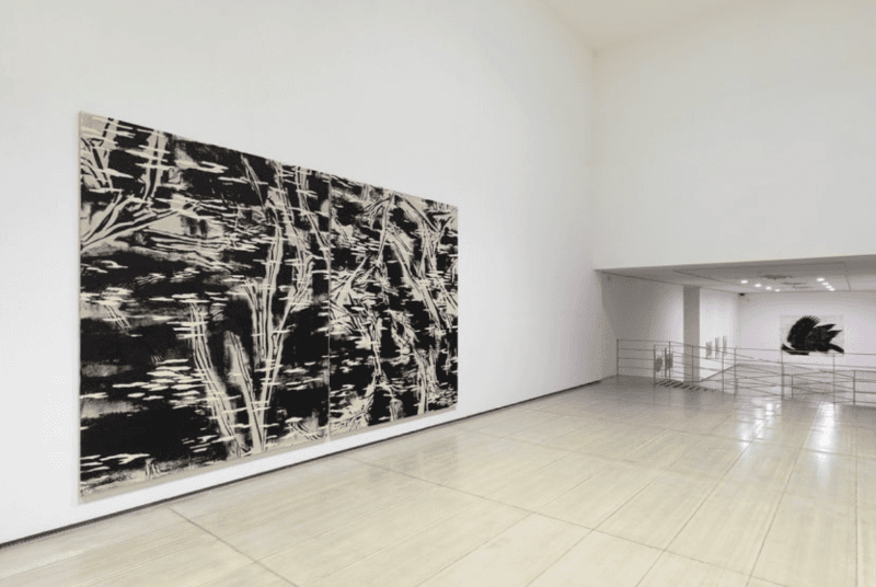 installation views