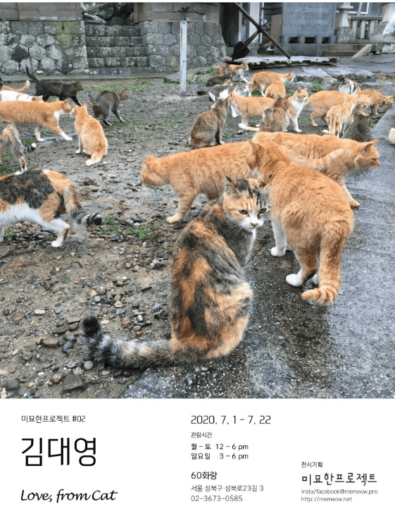 미묘한 프로젝트 <Love, from cat :  김대영 展>