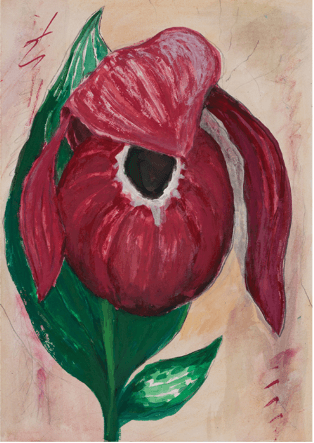 <사라져 가는 얼굴-복주머니란> · 종이에 아크릴 · 53 x 38cm · 2020, [출처] 수애뇨 339 홈페이지