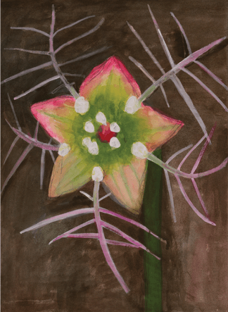 <사라져 가는 얼굴-나도범의귀> · 종이에 아크릴 · 50 x 38cm · 2020, [출처] 수애뇨 339 홈페이지