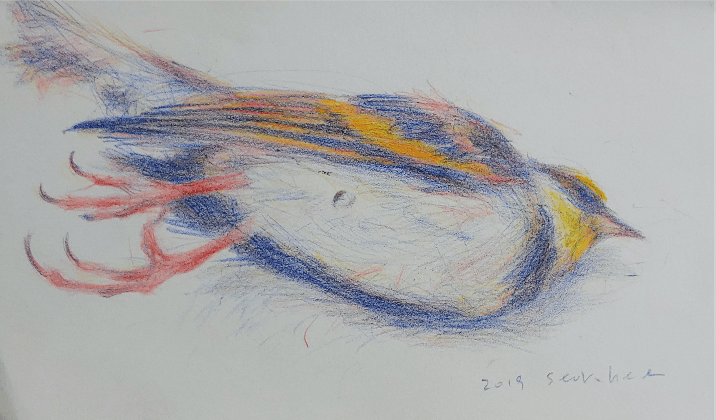 정석희_새를 보내다 · 종이 위에 혼합재료 · 12x19cm · 2019