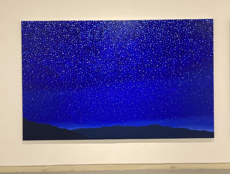 installation views