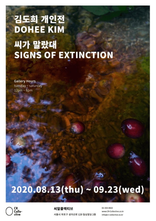 김도희 개인전 : 씨가 말랐대 포스터