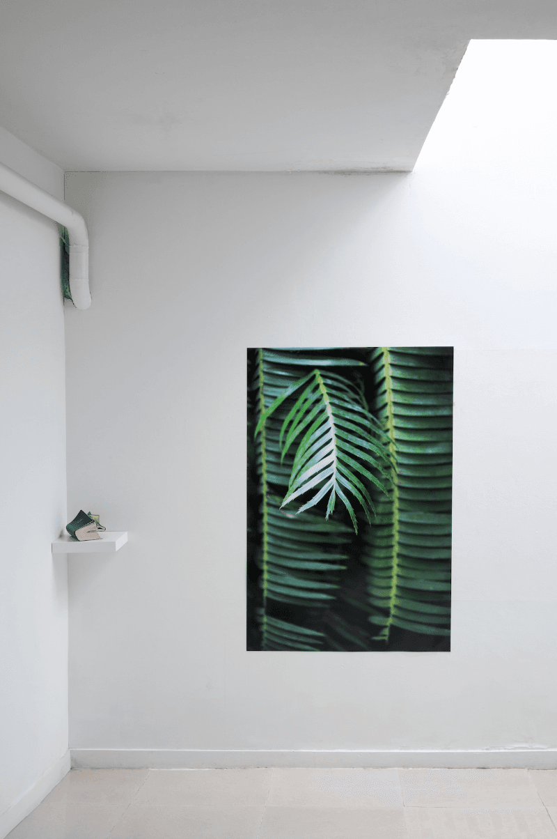 Natural Nature #1 · Archival print, Korean dictionary, Korean-English dictionary,photography · photography : 150x100cm, object:18x16x9cm · 2018 · 장유정 · Archival print, Korean dictionary, Korean-English dictionary,photography