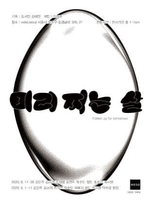 미리 찌는 살 포스터