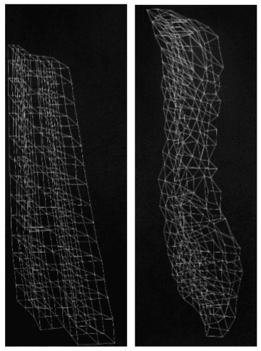 Her Sides of Us Series 4, 2 · ink on paper, each · 109 x 39.5 cm · 2020 · Her Sides of Us Series 4, 2 · ink on paper, each