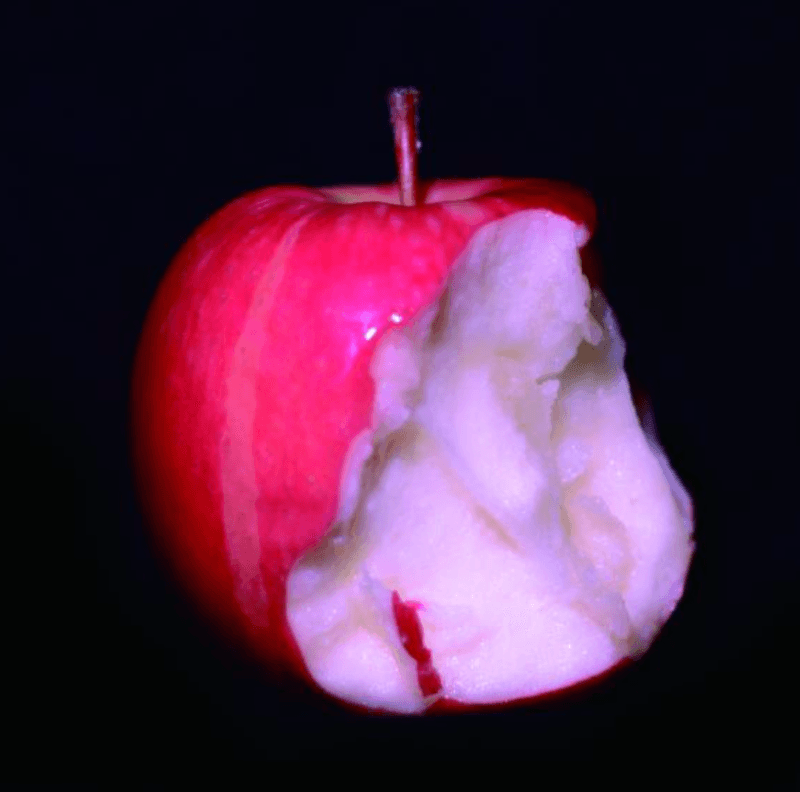 임용현-Apple Consume · Mixed Media · 50x50x20cm · 2019