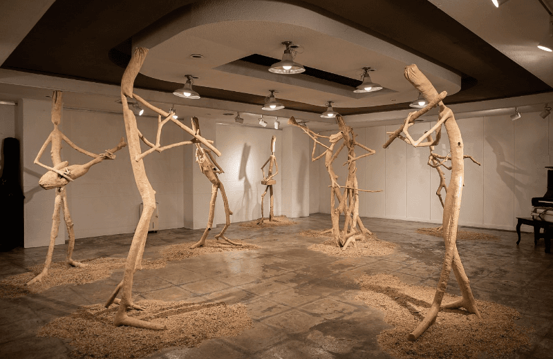 installation views