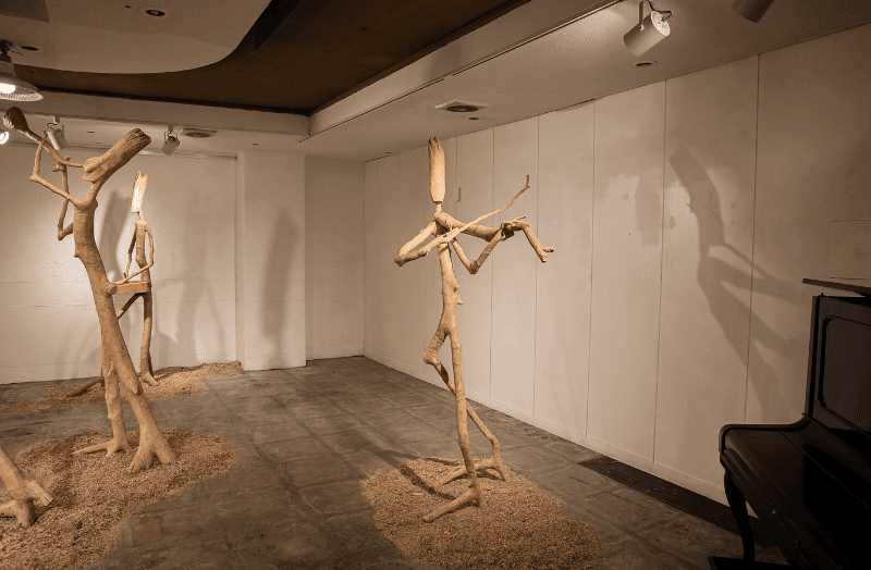 installation views