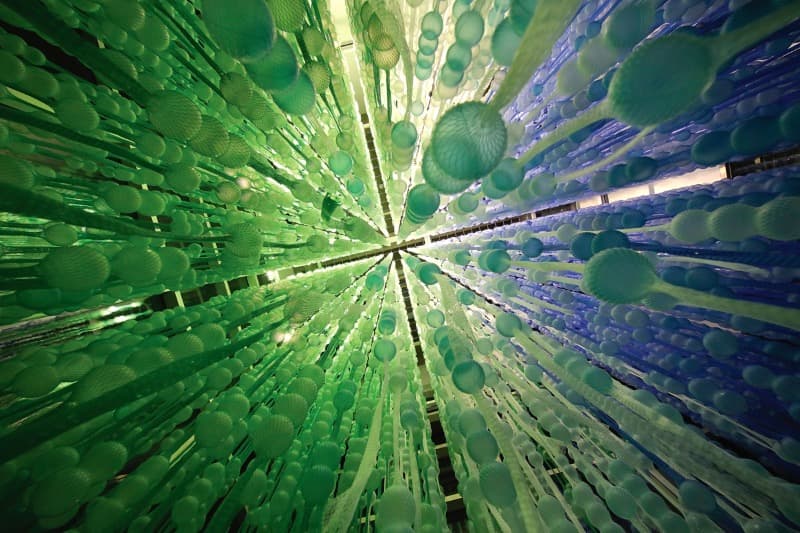 강을 건너는 방법 · 철제망, PE망, 플라스틱공, 스틸고리 · 400x400x500cm · 2020