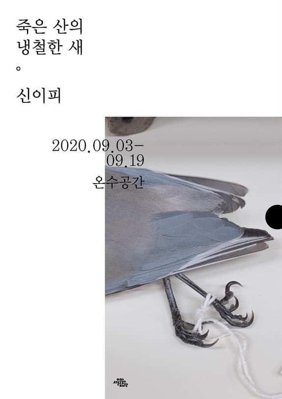 신이피 개인전 : 죽은 산의 냉철한 새 포스터