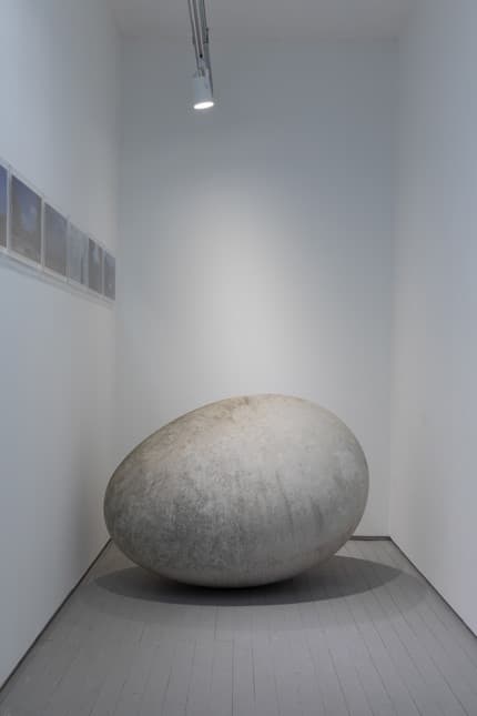 황성준, Zing의 탄생을 위한 부화 상자 · Mixed Media · 143.0x82.0x74.0cm · 2000