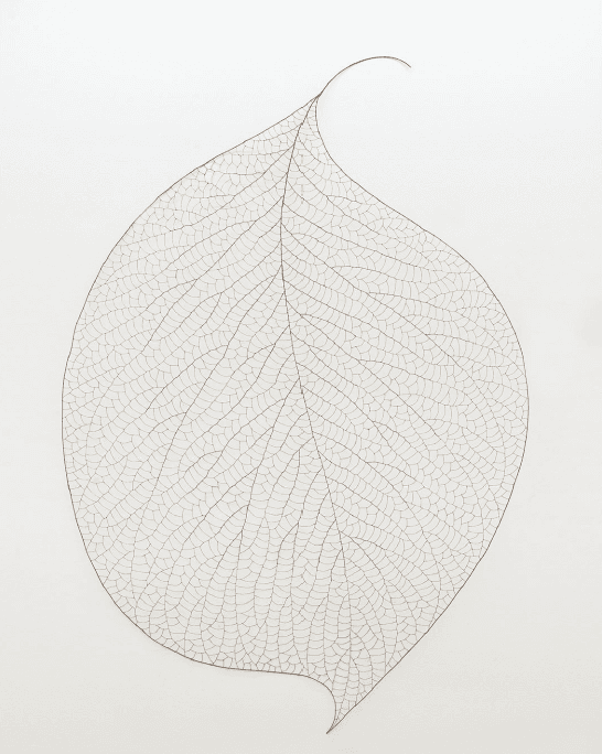The Leaf 105180 · Copper wire · 180x270x10cm · 2010 · The Leaf 105180 · Copper wire