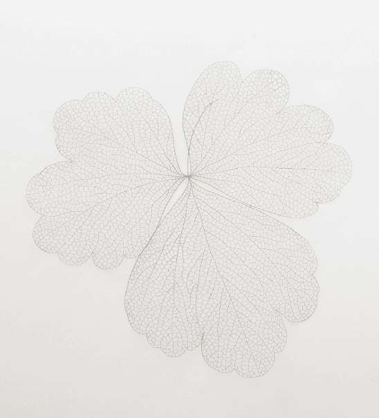 The Leaf 89205 · Copper wire · 205x205x10cm · 2008 · The Leaf 89205 · Copper wire
