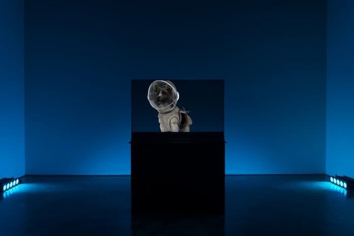 김세진, 전령(들) · OLED 모니터, 3D모션 그래픽 비디오, 스테레오사운드, LED라이트 · 696 x 465 cm · 2019