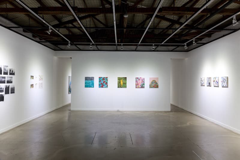 installation views